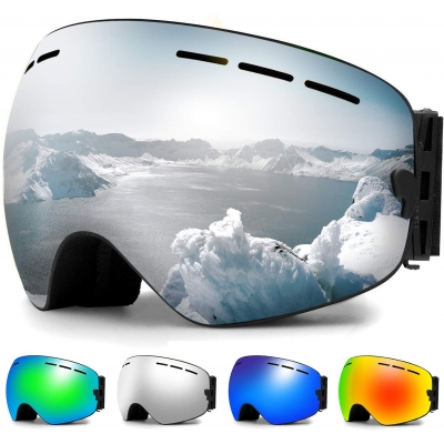Ski Goggles-Sliver